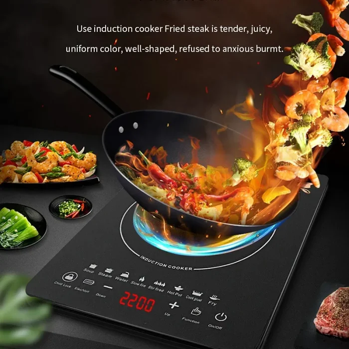 Portable Induction Burner - Induction Induction Cooker
